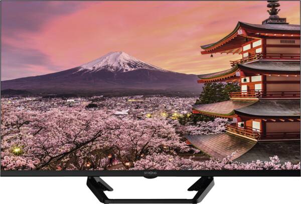Strong LED-Fernseher SRT 40FG6733C Zattoo Schwarz