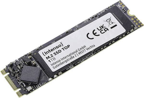 Intenso Solid State Modul 1TB M.2 SSD SATA III Top