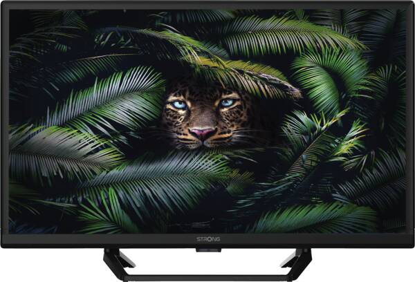 Strong LED-Fernseher SRT24HE4023C Schwarz