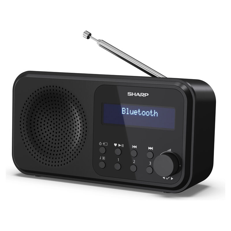 Sharp Digitalradio DR-P420 schwarz