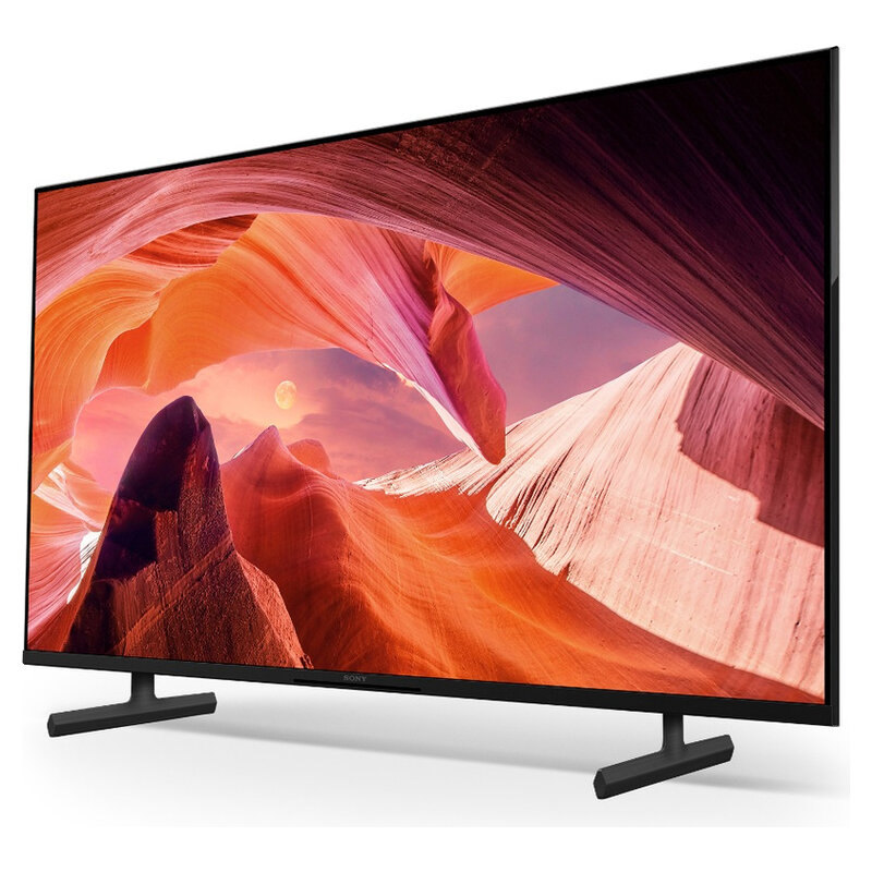 Sony 43 Zoll X80L LED TV schwarz