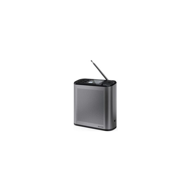 Sharp Digitalradio DRP530GY 