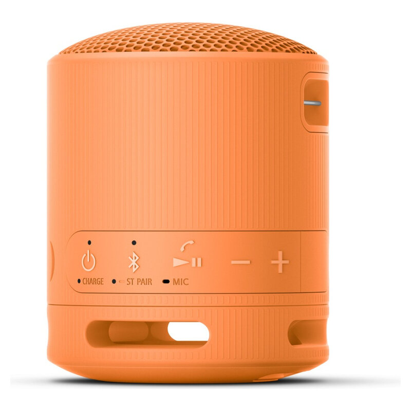 Sony Lautsprecher XB100 BT