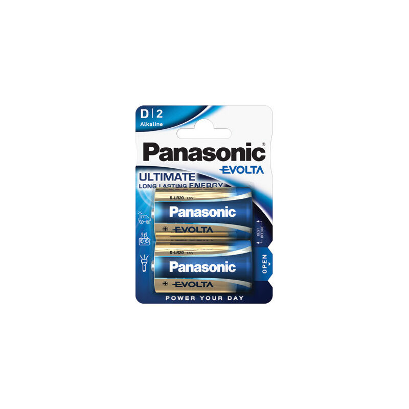 Panasonic LR20EGE/2BP Batterie Mono