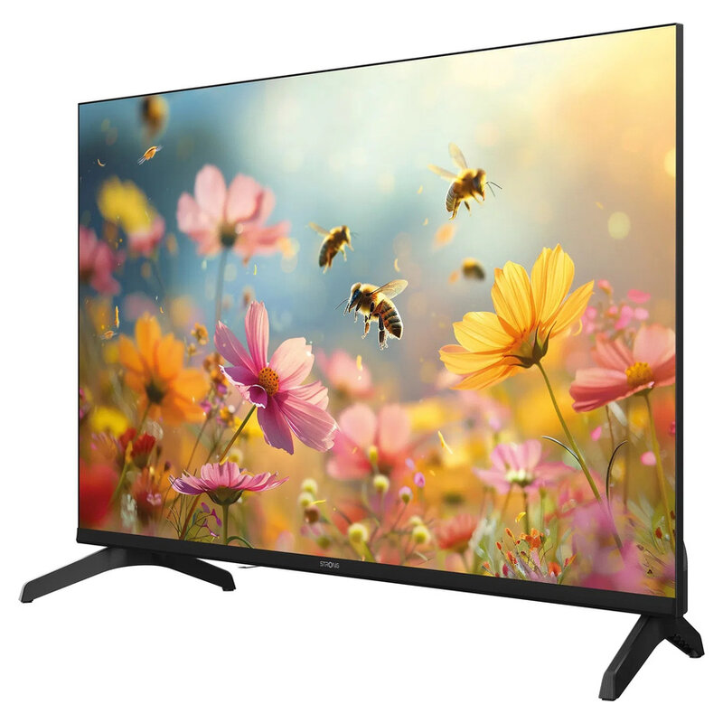 Strong 32 Zoll HD TV