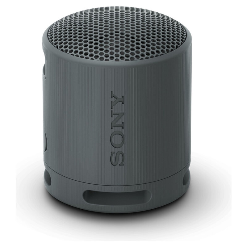 Sony Lautsprecher XB100 BT