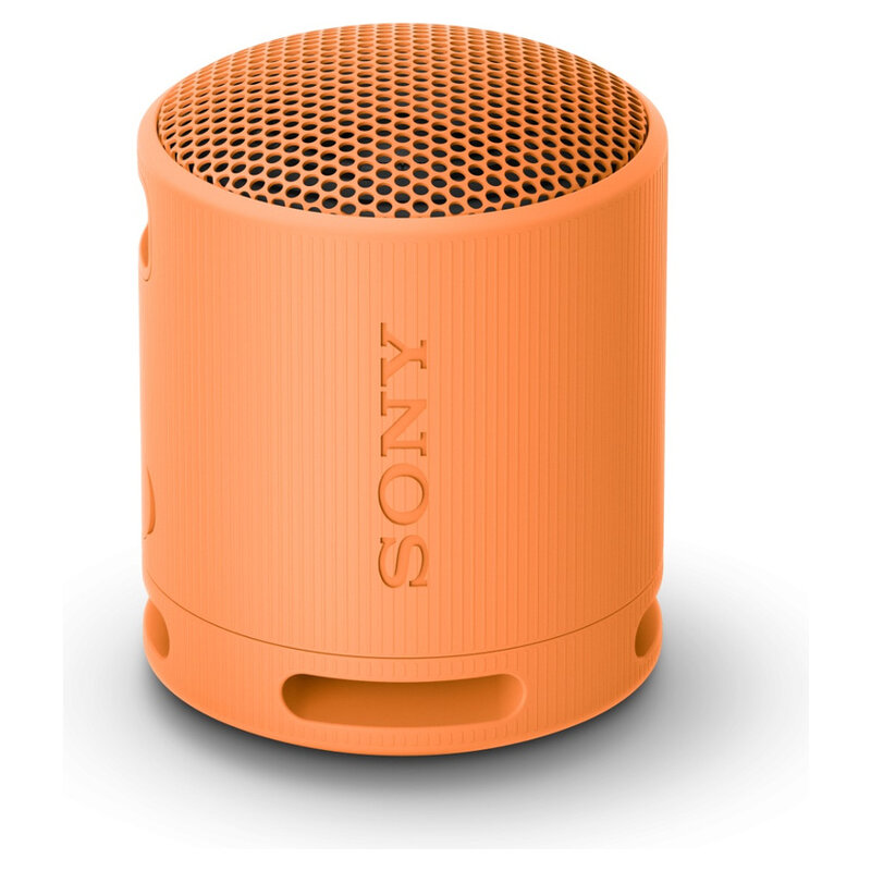 Sony Lautsprecher XB100 BT