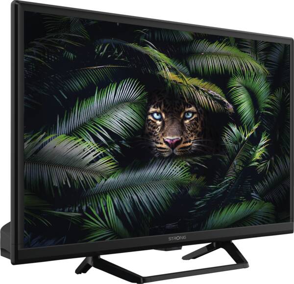 Strong LED-Fernseher SRT24HE4023C Schwarz