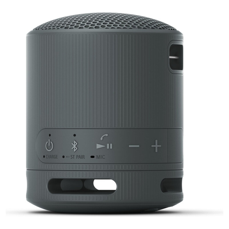 Sony Lautsprecher XB100 BT