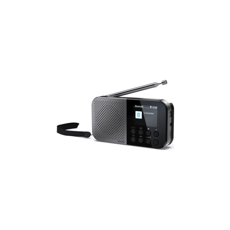 Sharp Digitalradio DRP520GY grau